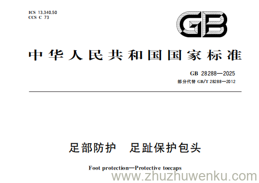 GB 28288-2025 pdf下载 足部防护 足趾保护包头