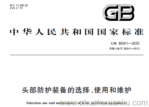 GB 30041-2025 pdf下载 头部防护装备的选择、使用和维护