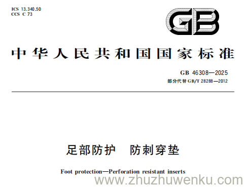 GB 46308-2025 pdf下载 足部防护 防刺穿垫