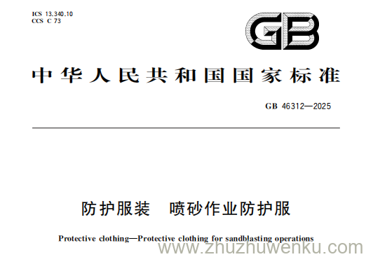 GB 46312-2025 pdf下载 防护服装 喷砂作业防护服