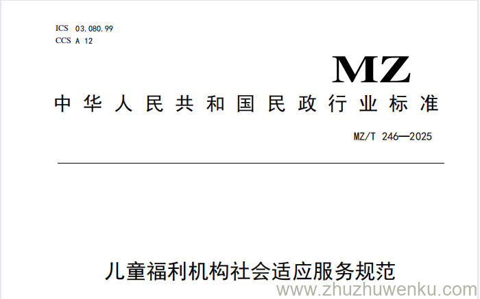 MZ/T 246-2025 pdf下载 儿童福利机构社会适应服务规范