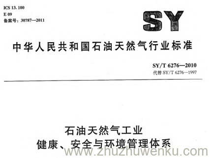 SY/T 6276-2010 pdf下载 石油天然气工业健康、安全与环境管理体系