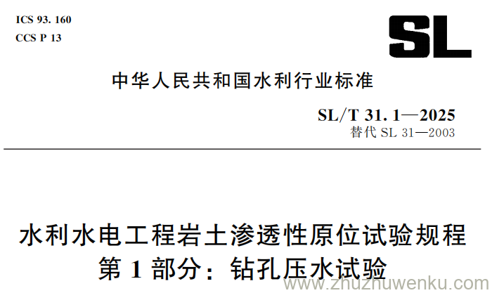 SL/T 31.1-2025 pdf下载 水利水电工程岩土渗透性原位试验规程 第1部分：钻孔压水试验
