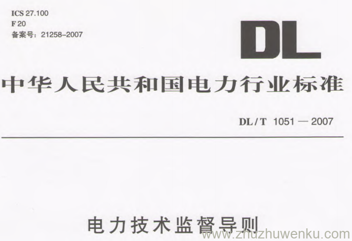 DL/T 1051-2007 pdf下载 电力技术监督导则